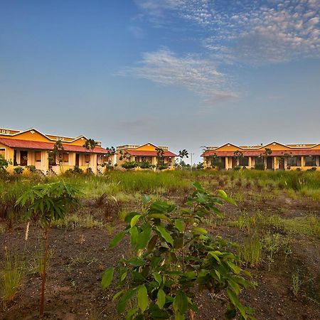 Blackbuck Safari Lodge Velavadar Bavliari Exterior foto