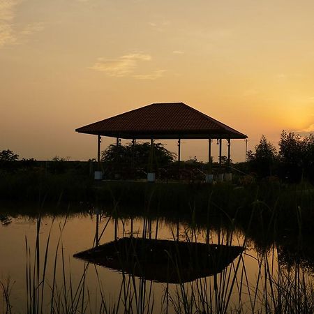 Blackbuck Safari Lodge Velavadar Bavliari Exterior foto