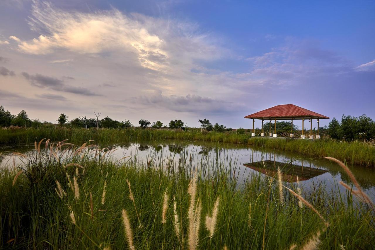Blackbuck Safari Lodge Velavadar Bavliari Exterior foto