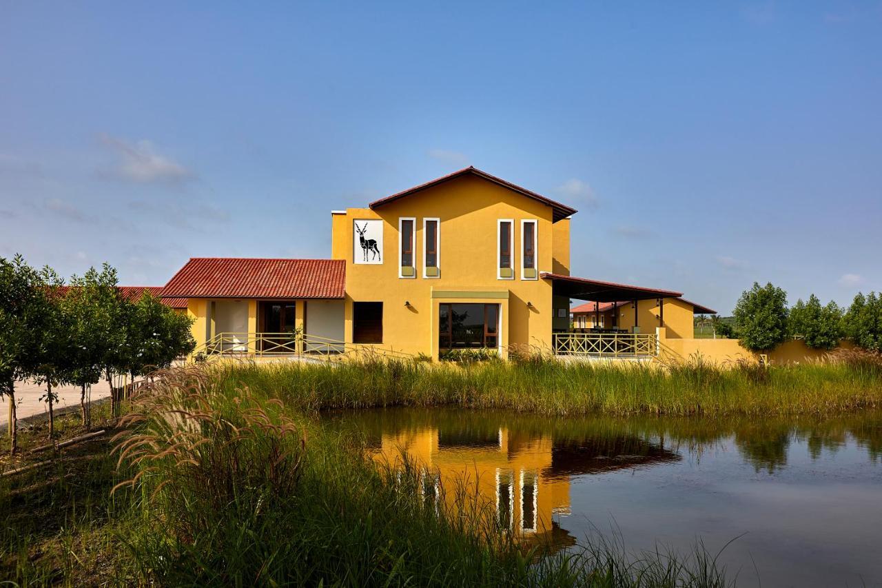 Blackbuck Safari Lodge Velavadar Bavliari Exterior foto