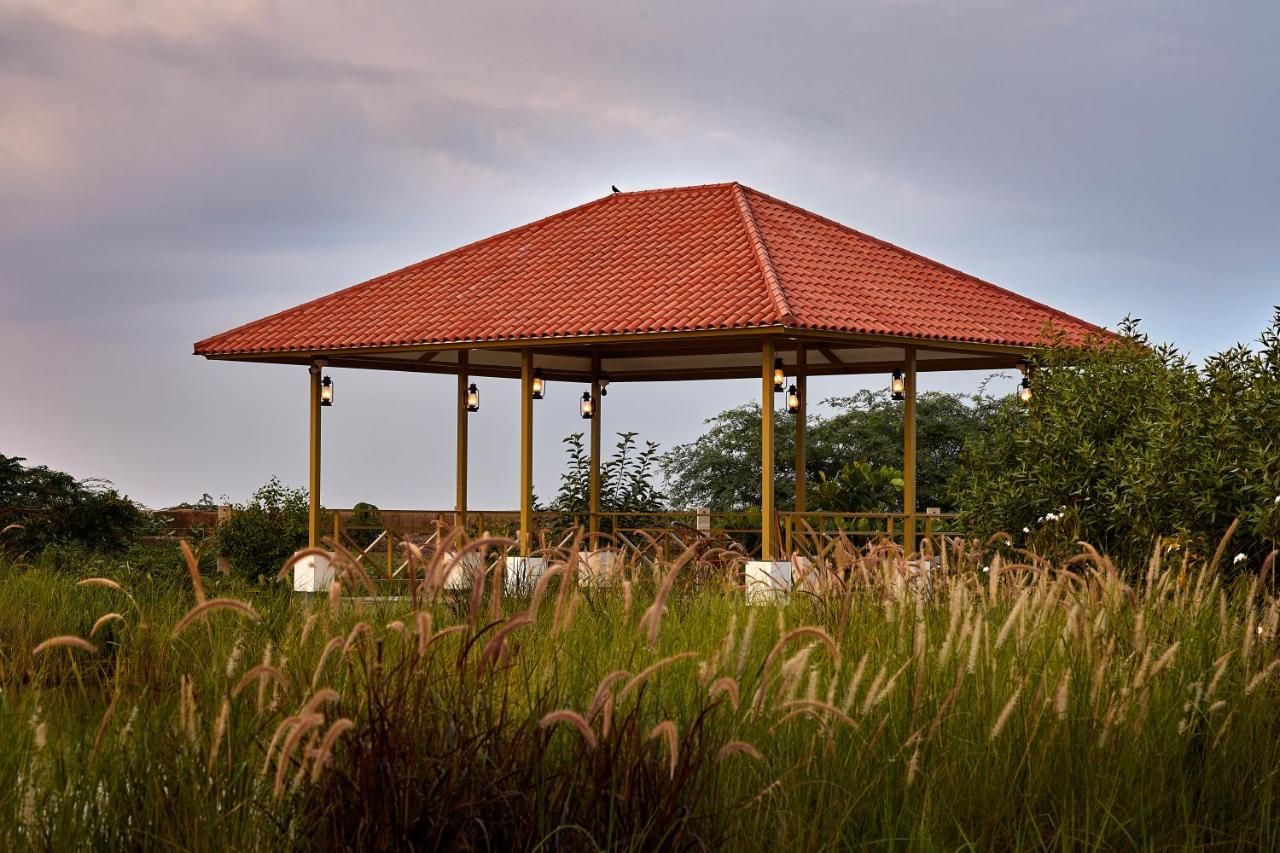 Blackbuck Safari Lodge Velavadar Bavliari Exterior foto