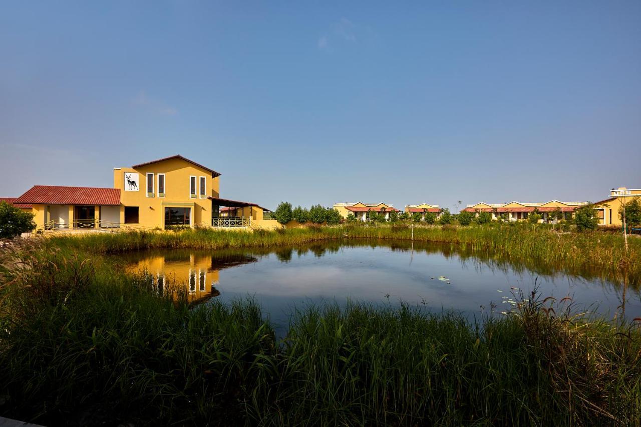 Blackbuck Safari Lodge Velavadar Bavliari Exterior foto