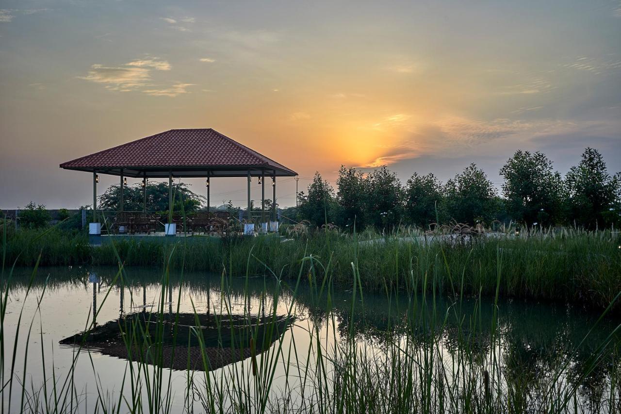 Blackbuck Safari Lodge Velavadar Bavliari Exterior foto