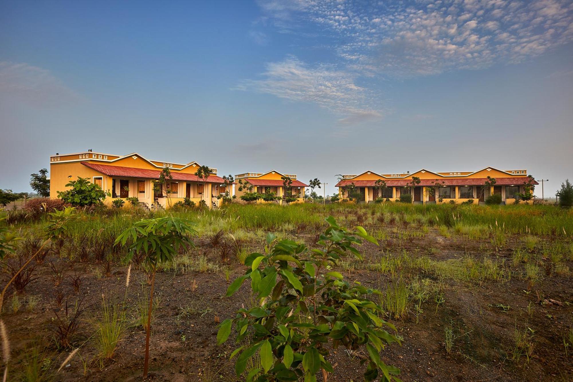 Blackbuck Safari Lodge Velavadar Bavliari Exterior foto