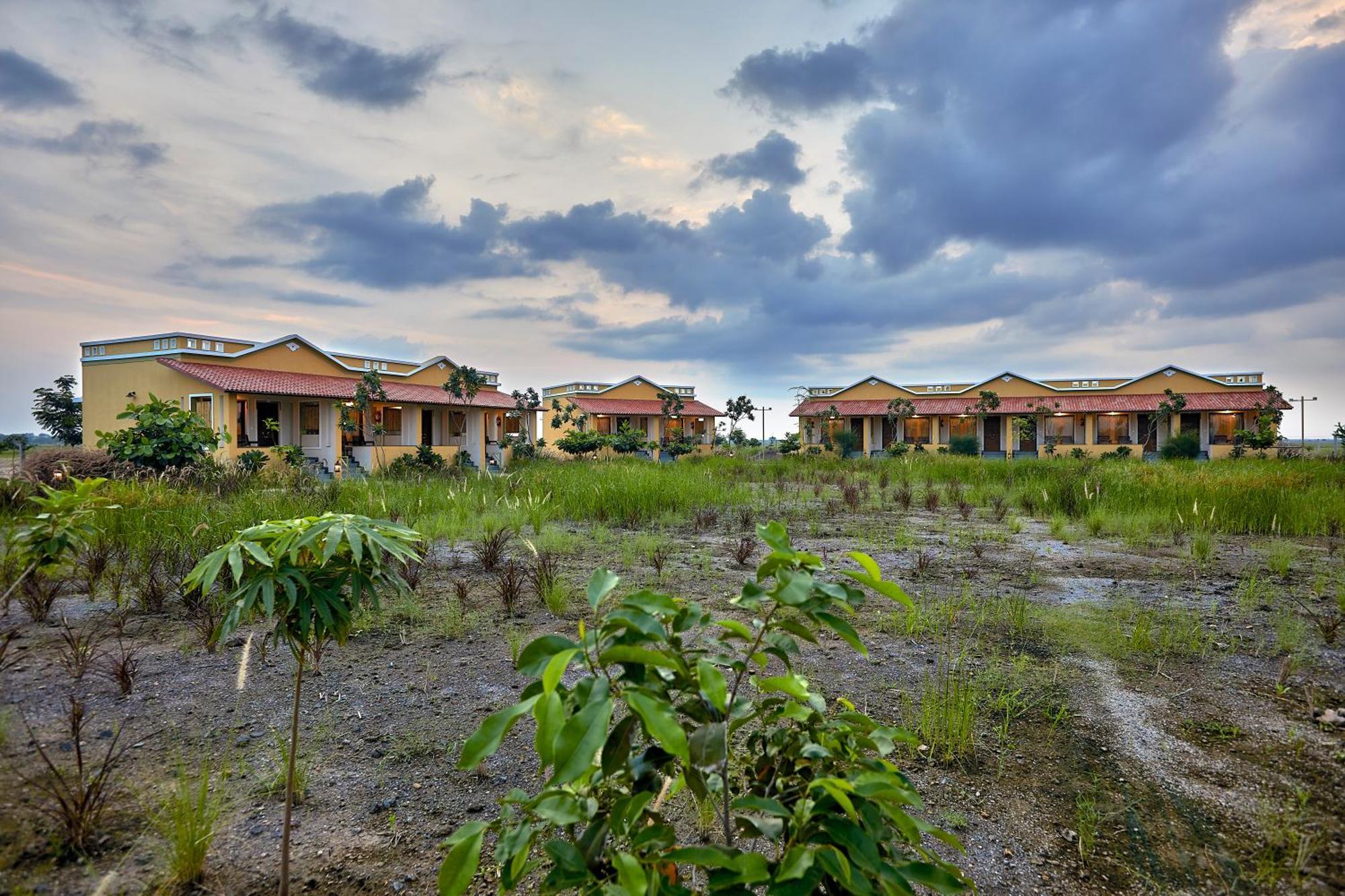 Blackbuck Safari Lodge Velavadar Bavliari Exterior foto