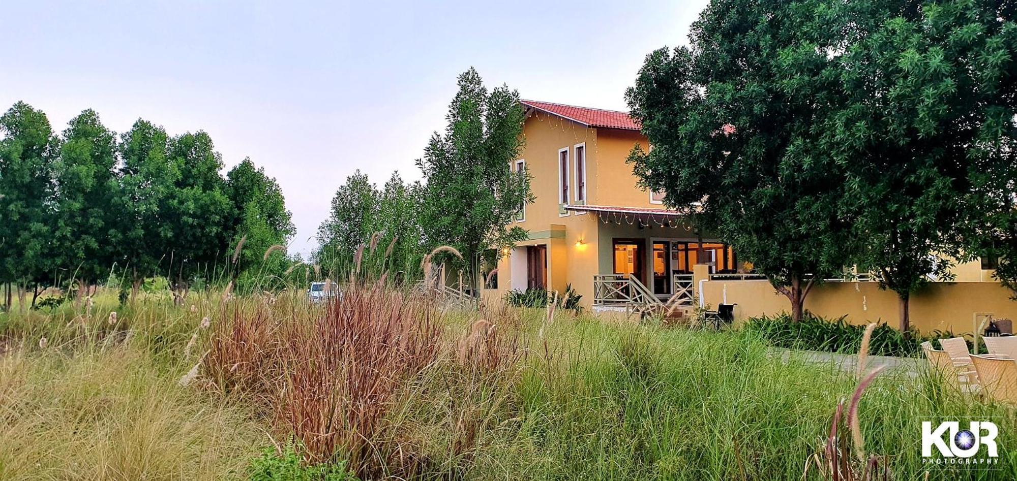 Blackbuck Safari Lodge Velavadar Bavliari Exterior foto